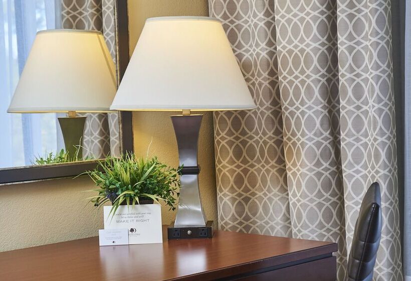 اتاق استاندارد با تخت دوبل, Wyndham Columbus