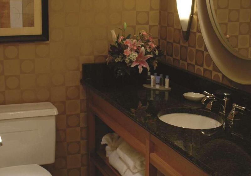 اتاق استاندارد با تخت بزرگ, Wyndham Columbus