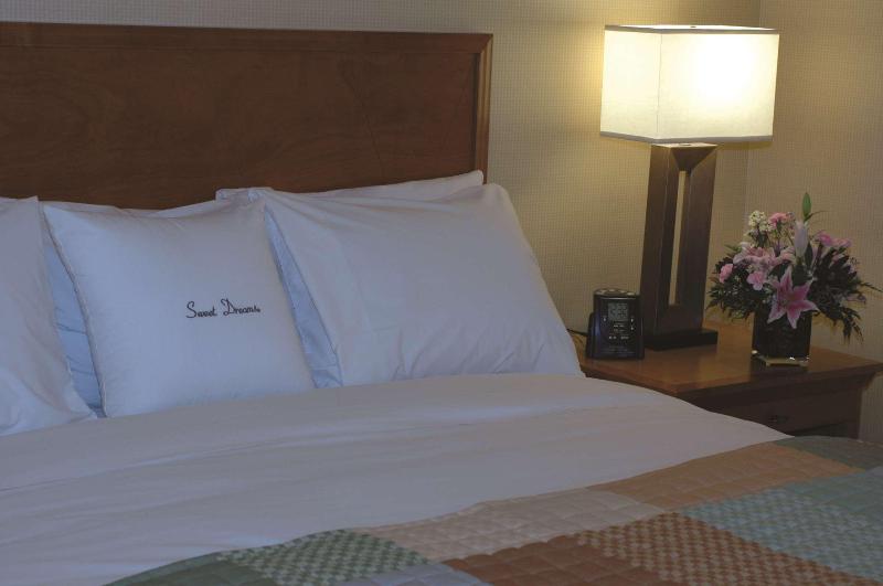 اتاق استاندارد با تخت بزرگ, Wyndham Columbus