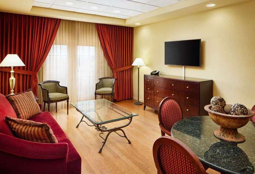 سوئیت با تخت بزرگ, Embassy Suites By Hilton Detroit Metro Airport
