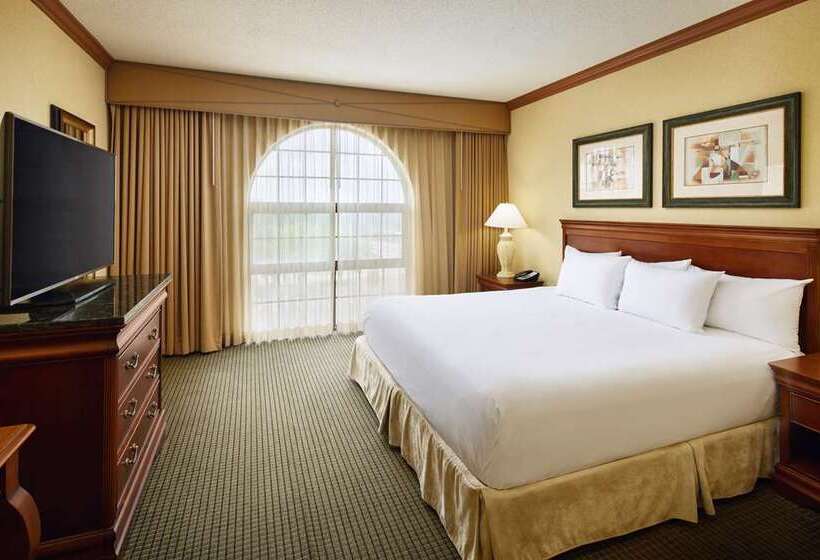 سوئیت با تخت بزرگ, Embassy Suites By Hilton Detroit Metro Airport