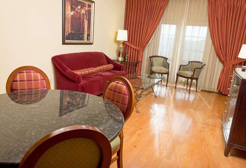 سوئیت با تخت بزرگ, Embassy Suites By Hilton Detroit Metro Airport