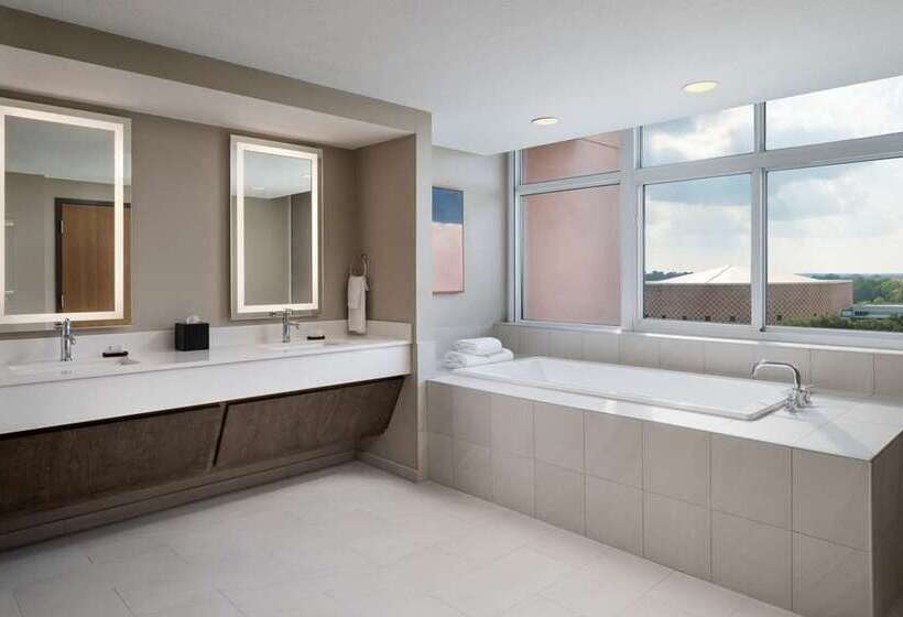 سوئیت با تخت بزرگ, Embassy Suites By Hilton Detroit Metro Airport