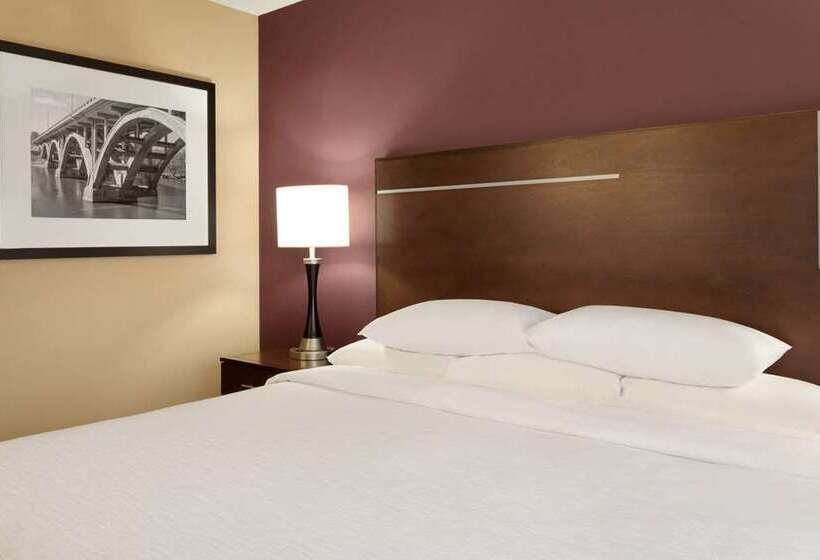 سوئیت با تخت بزرگ, Embassy Suites By Hilton Detroit Metro Airport