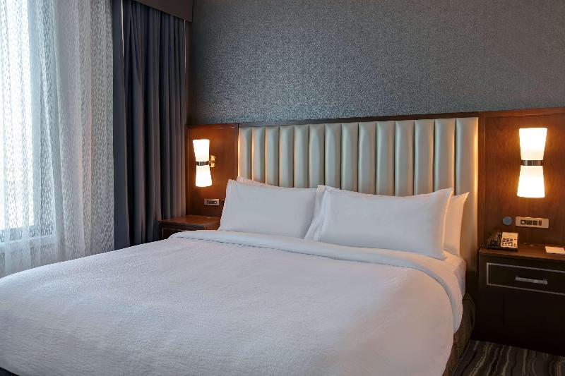 سوئیت اجرایی با تخت کینگ, Embassy Suites Syracuse