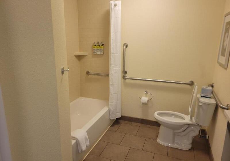 דירת שני חדרים, Four Seasons Hotel Houston