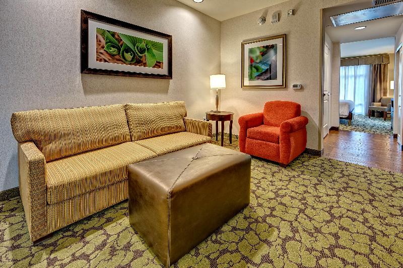 اتاق استاندارد با تخت بزرگ, Glendale Express Hotel Los Angeles