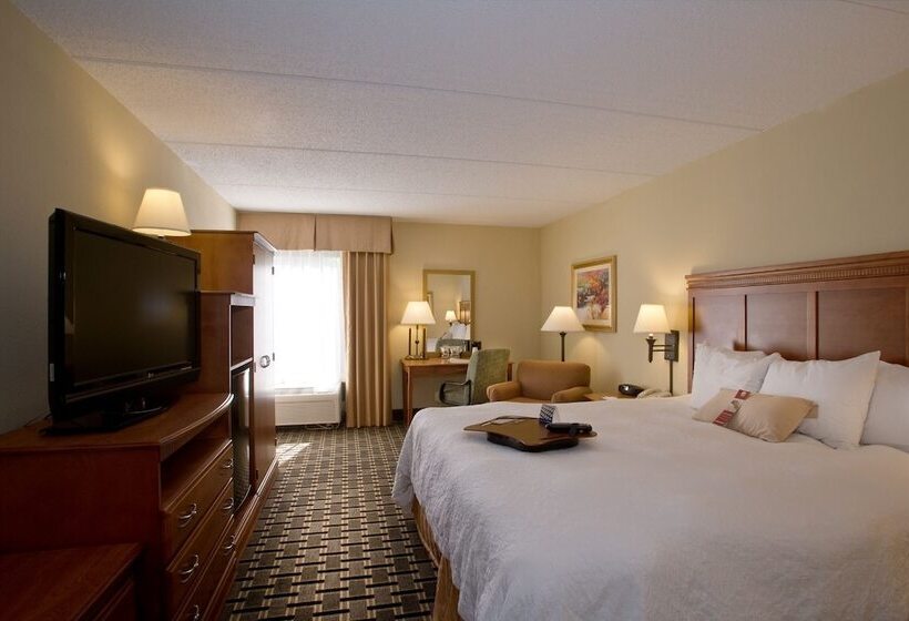 اتاق استاندارد با تخت دوبل, Hampton Inn Atlantanorthlake