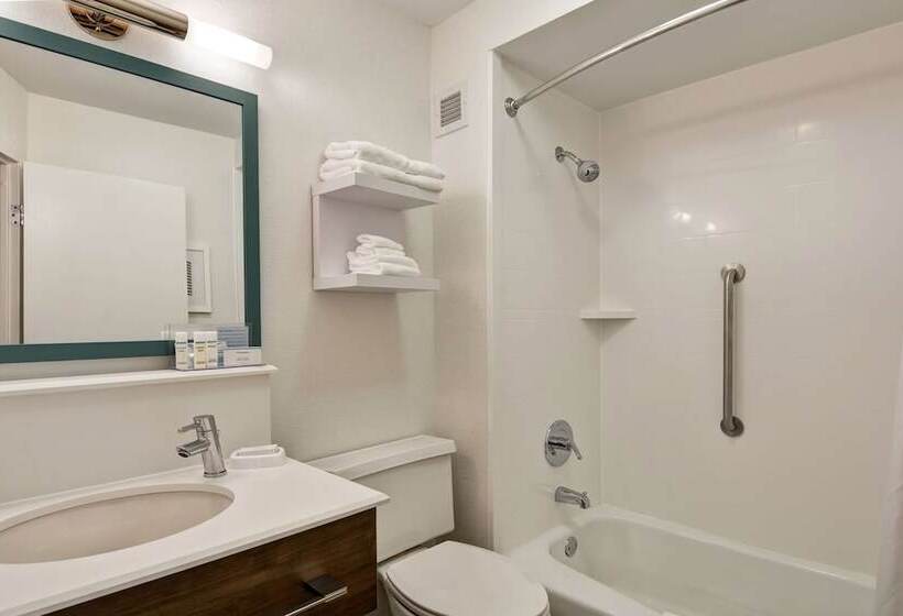 اتاق استاندارد با 2 تخت دوبل, Hampton Inn Columbia I26 Airport