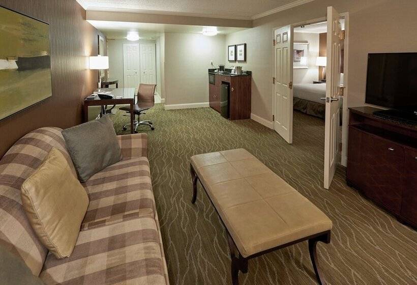سوییت, Doubletree By Hilton Akron Fairlawn