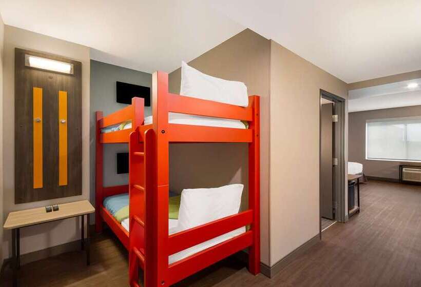 اتاق اجرایی با تخت بزرگ, Hilton Charlotte University Place