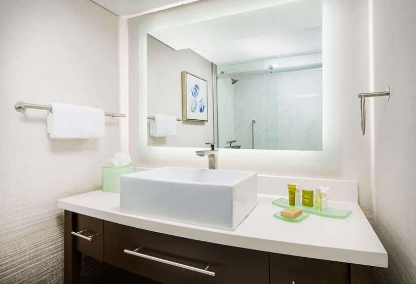 اتاق اجرایی با تخت بزرگ, Hilton Charlotte University Place