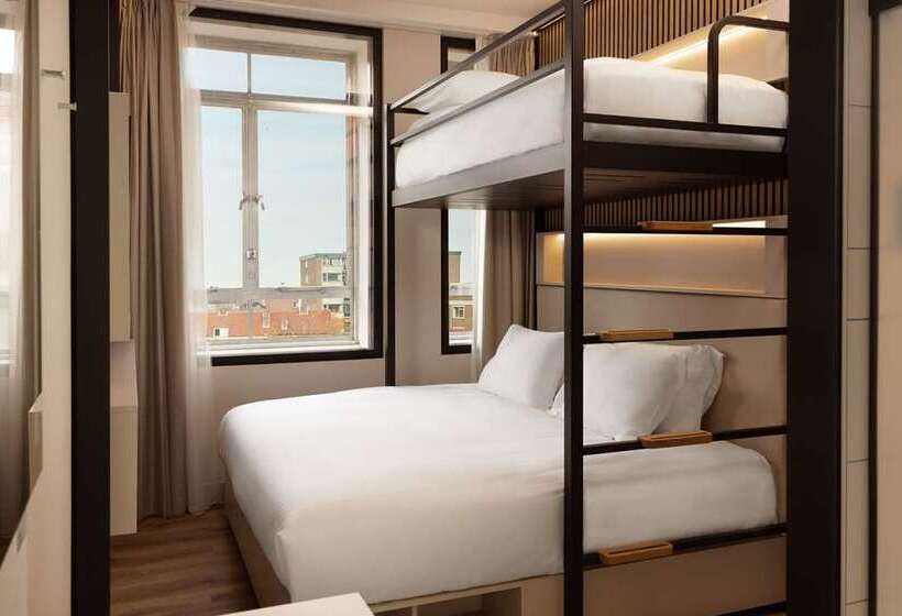 اتاق اجرایی با تخت بزرگ, Hilton Charlotte University Place
