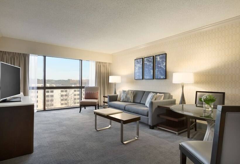 Suite Junior, Hilton Greenville