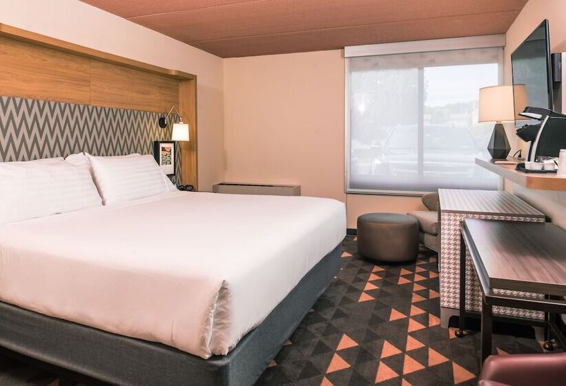 اتاق استاندارد با تخت دوبل برای معلولان, Holiday Inn Auburnfinger Lakes Region