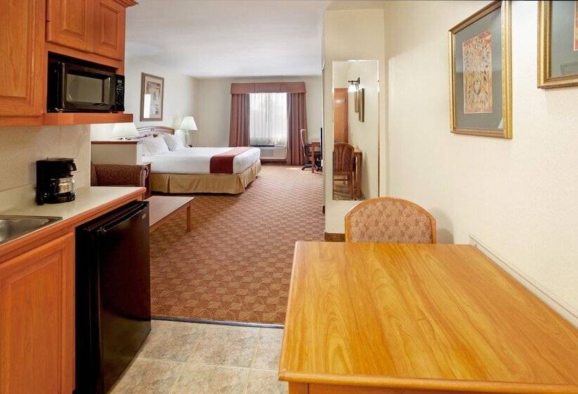 سوئیت با وان آب گرم, Holiday Inn Express Hotel And Suites Brownsville, An Ihg