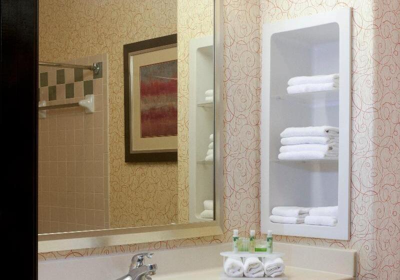 اتاق استاندارد, Holiday Inn Express Hotel And Suites Brownsville, An Ihg