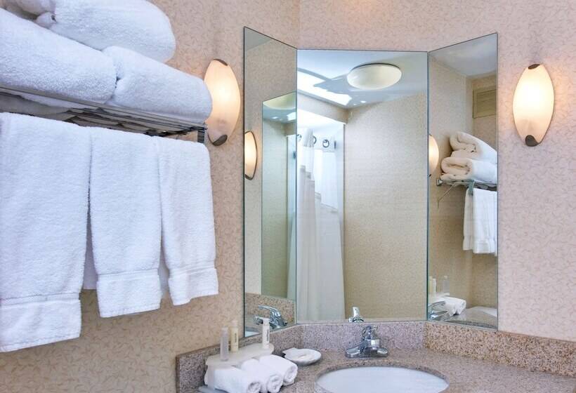 اتاق استاندارد, Holiday Inn Express Memphis Medical Center   Midtown, An Ihg