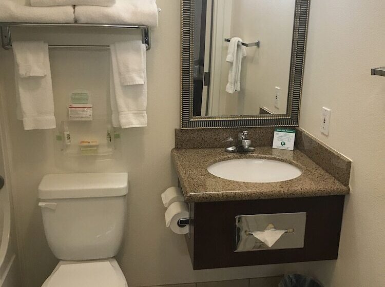 Standardzimmer, Holiday Inn Redding