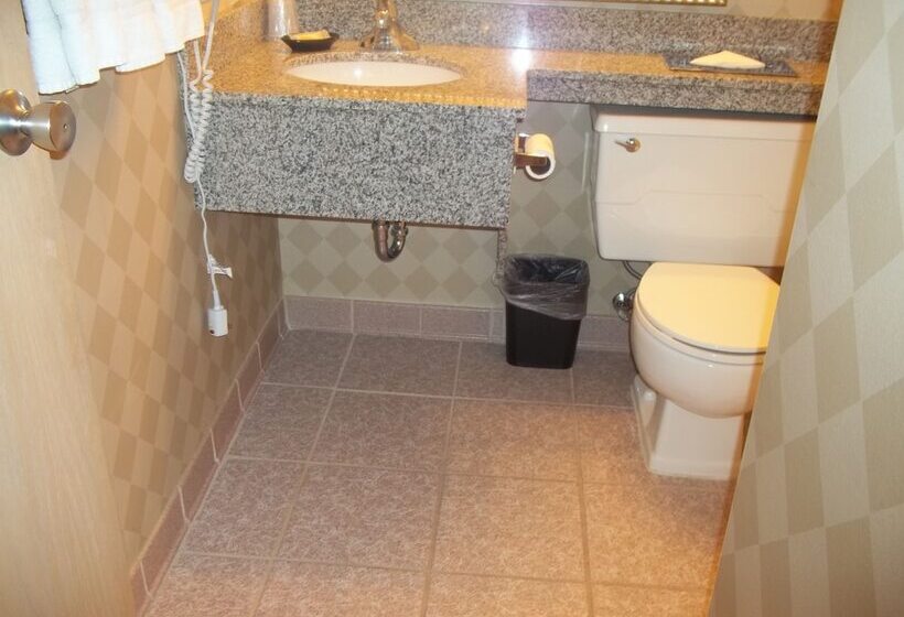 اتاق استاندارد, Holiday Inn Rock Springs, An Ihg