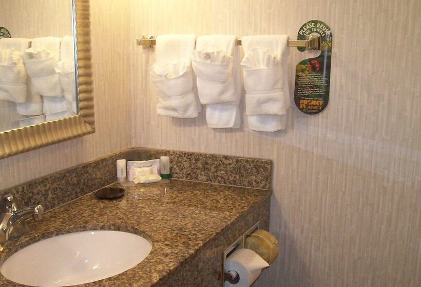 اتاق استاندارد, Holiday Inn Rock Springs, An Ihg
