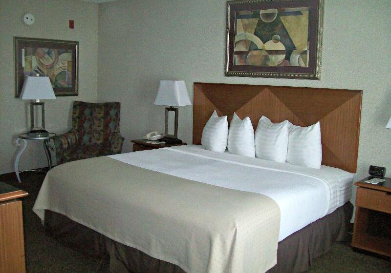 Executive Room King Size Bed, Holiday Inn Rock Springs