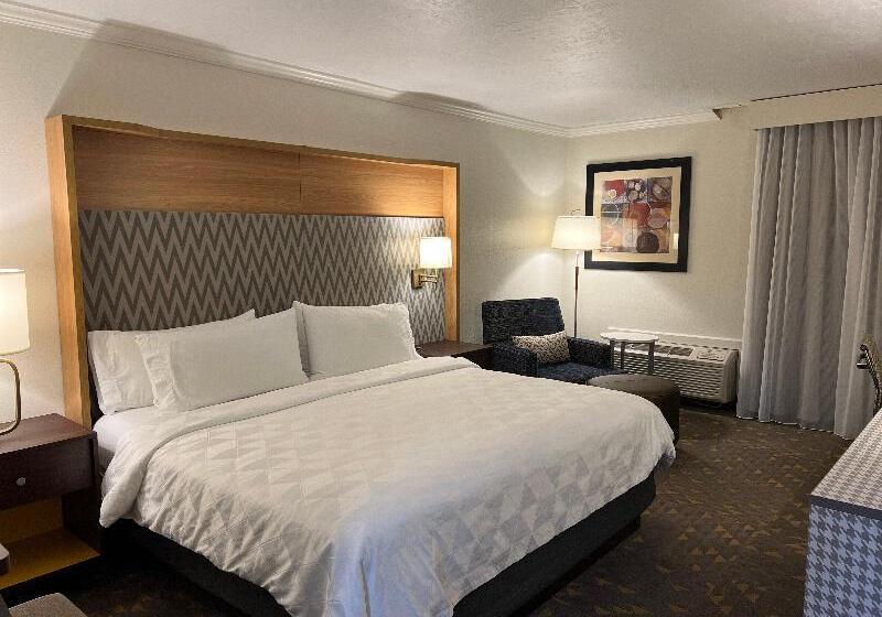 اتاق استاندارد با تخت بزرگ, Holiday Inn Rock Springs, An Ihg