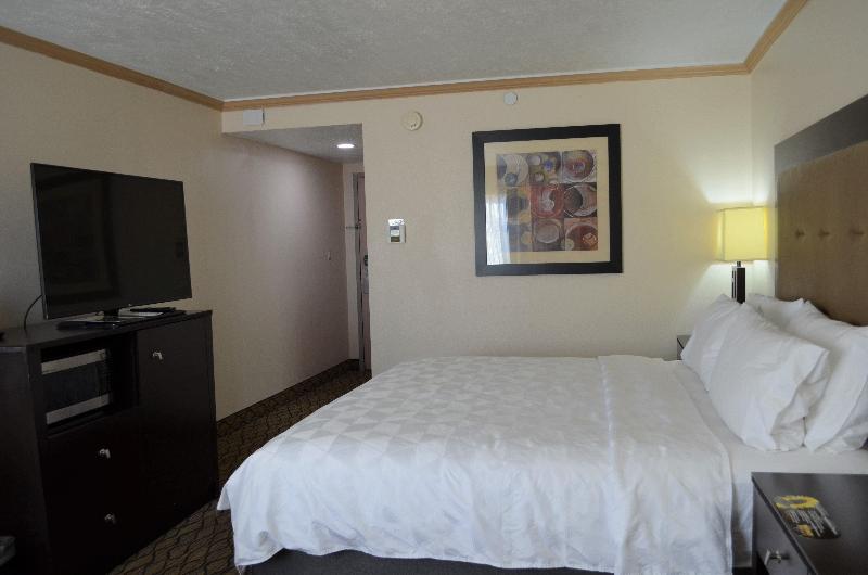 اتاق استاندارد با تخت بزرگ, Holiday Inn Rock Springs, An Ihg