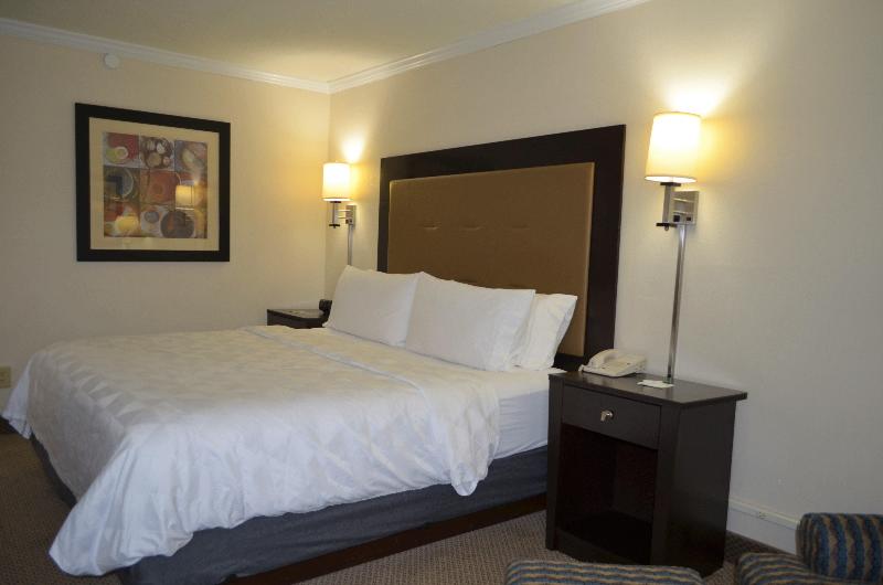 اتاق استاندارد با تخت بزرگ, Holiday Inn Rock Springs, An Ihg