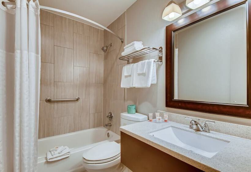 Habitación Deluxe, Orangewood Inn And Suites Midtown