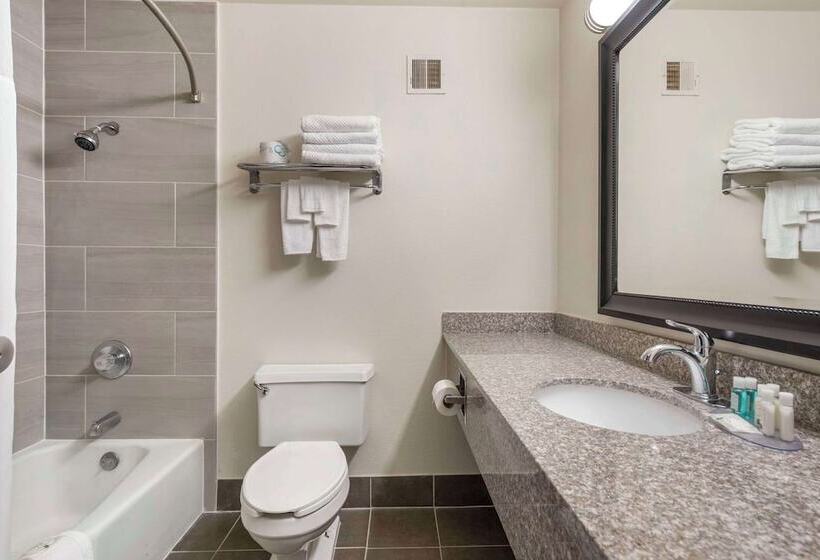 اتاق استاندارد با 2 تخت دوبل, Quality Inn Alamosa