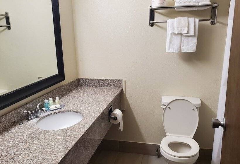 اتاق استاندارد با 2 تخت دوبل, Quality Inn Alamosa