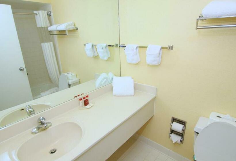 اتاق لوکس با تخت بزرگ, Ramada By Wyndham Kissimmee Gateway   Free Theme Park Shuttle