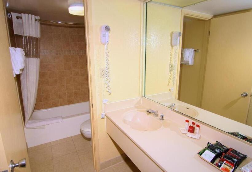 اتاق سوپریور با چشم‌انداز استخر, Ramada By Wyndham Kissimmee Gateway   Free Theme Park Shuttle