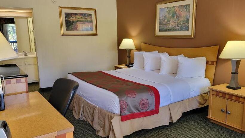 اتاق استاندارد با تخت بزرگ, Ramada By Wyndham & Suites Warner Robins