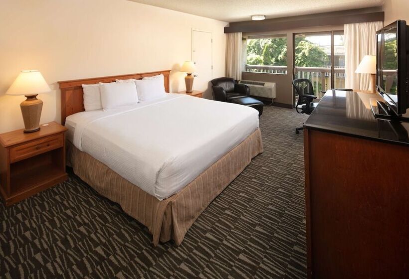 Quarto Premium, Red Lion  Bellevue