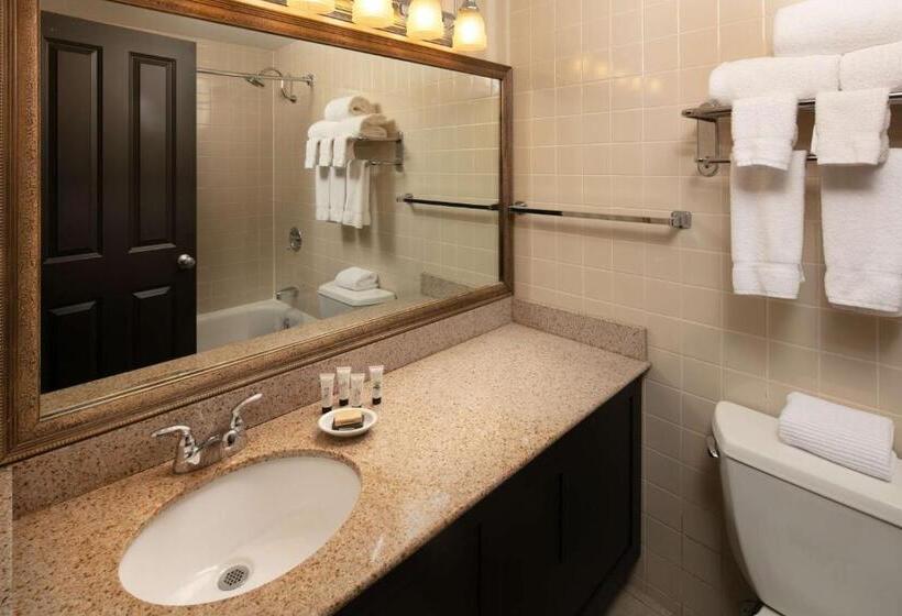 اتاق استاندارد با تخت بزرگ برای معلولان, Red Lion Hotel Bellevue