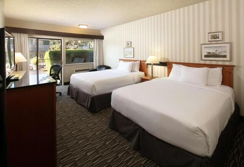 Quarto Superior, Red Lion  Bellevue