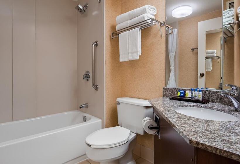 اتاق استاندارد با 2 تخت دوبل, Surestay Plus Hotel By Best Western Chicago Lombard