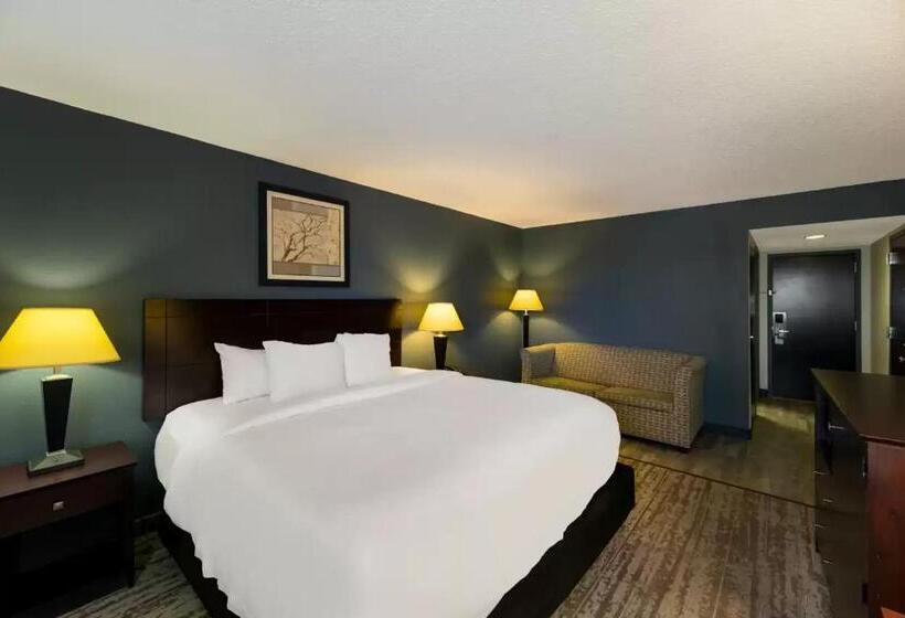 اتاق استاندارد با تخت بزرگ, Clarion Hotel San Angelo Near Convention Center