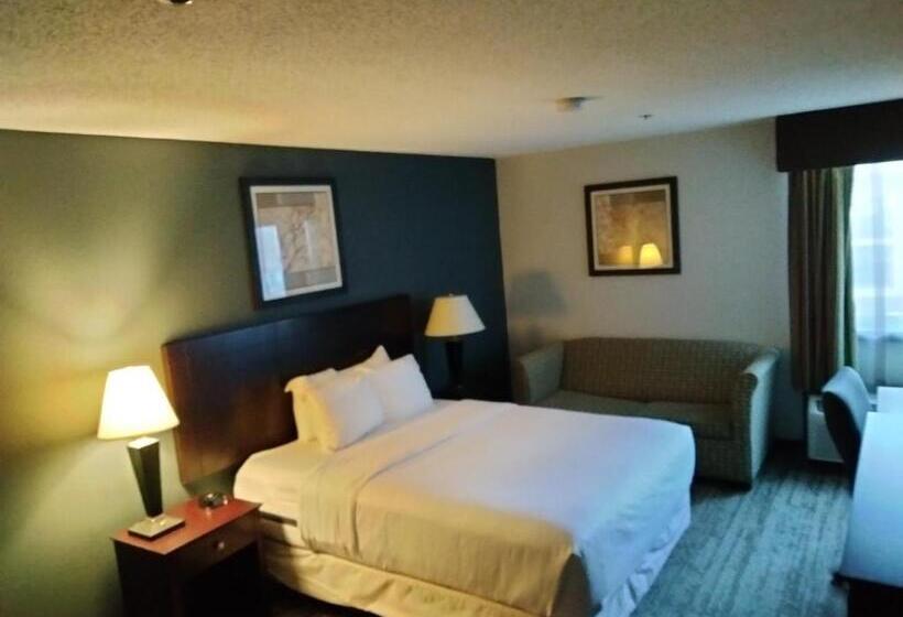 اتاق استاندارد برای معلولان, Clarion Hotel San Angelo Near Convention Center