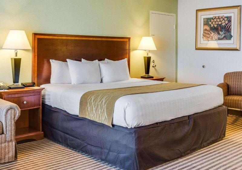 اتاق استاندارد با تخت بزرگ, Clarion Inn
