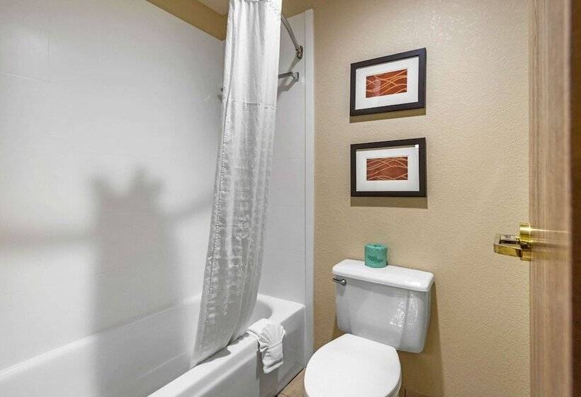 اتاق استاندارد, Comfort Inn & Suites Springfield I 44