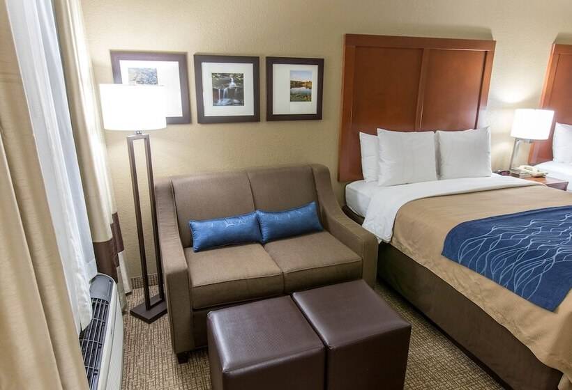 اتاق استاندارد, Comfort Inn And Suites Springfield