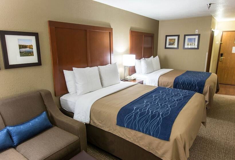 חדר סטנדרט, Comfort Inn And Suites Springfield