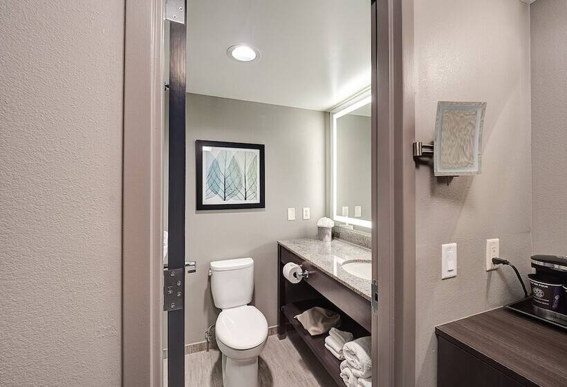 اتاق استاندارد با 2 تخت دوبل, Doubletree By Hilton Hotel Bloomington