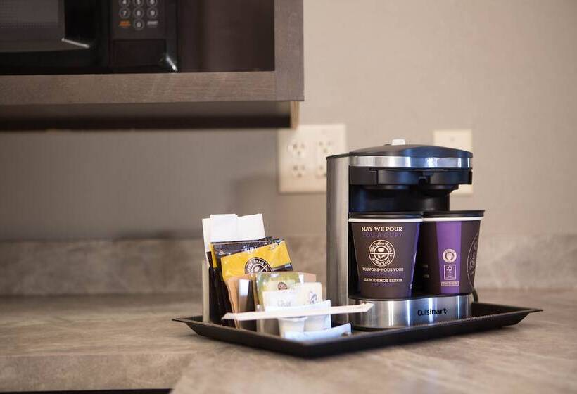 اتاق استاندارد با 2 تخت دوبل, Doubletree By Hilton Hotel Bloomington