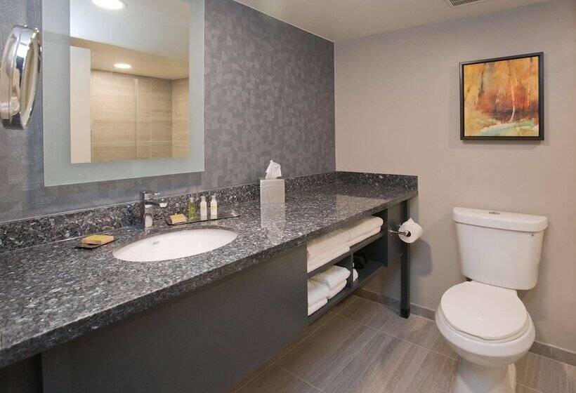 اتاق استاندارد با تخت دوبل, Doubletree By Hilton Chico