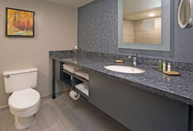 استودیوی استاندارد با تخت دوبل, Doubletree By Hilton Chico