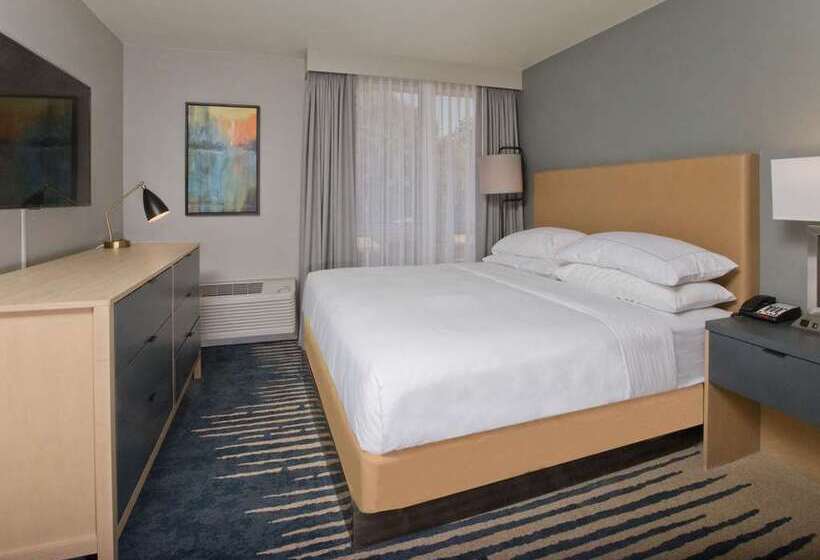 سوئیت با تخت بزرگ, Doubletree By Hilton Chico
